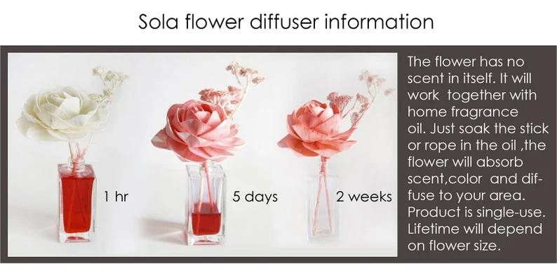 SOLA-Flower-DiffUSER-Information