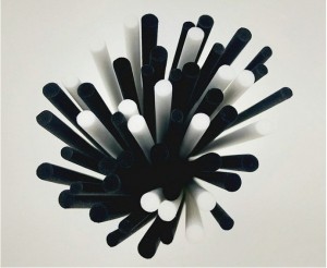 Fiber Sticks (1)